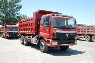 Foton Dump Truck.jpg